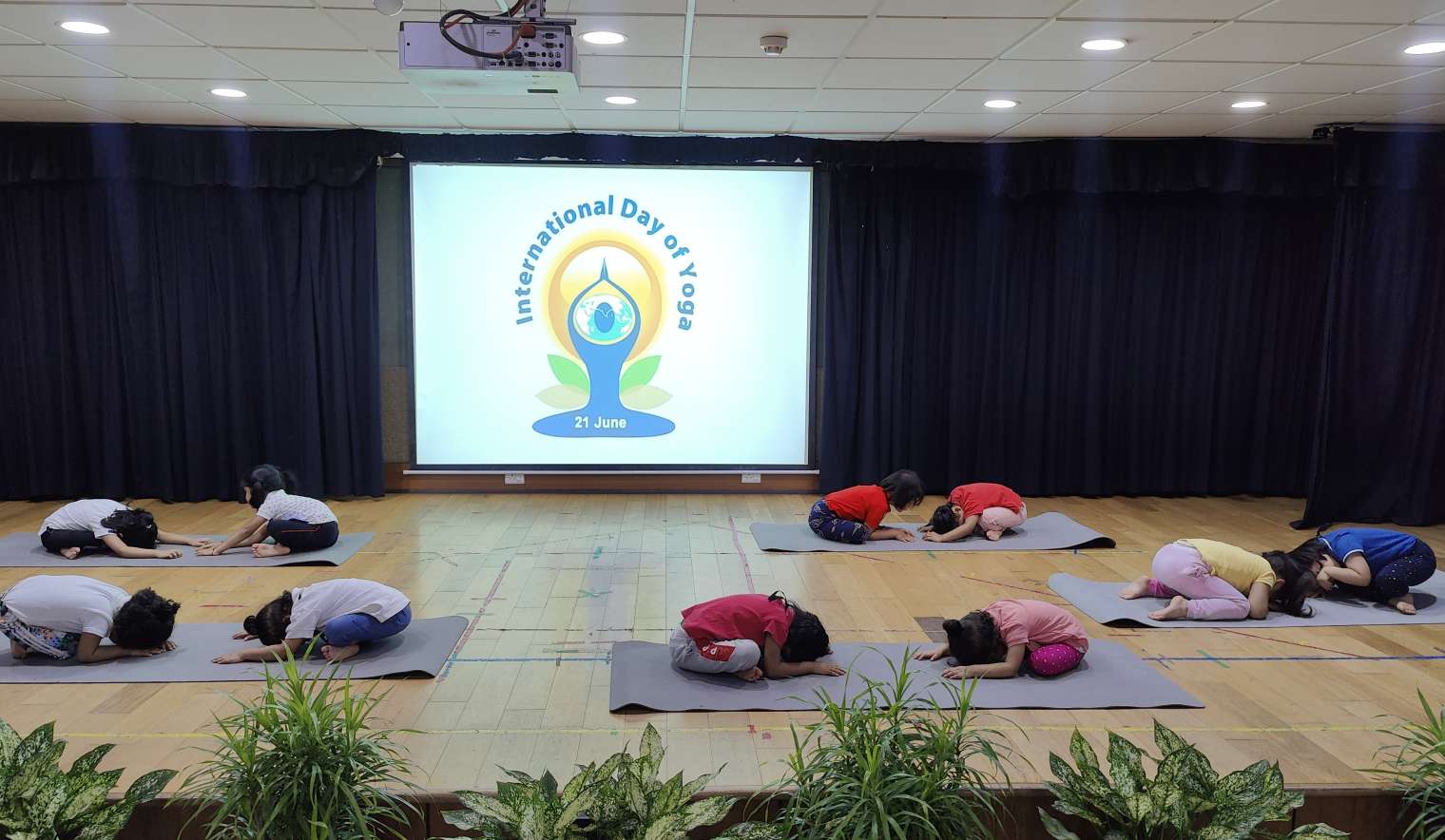 International Yoga Day 2024_8