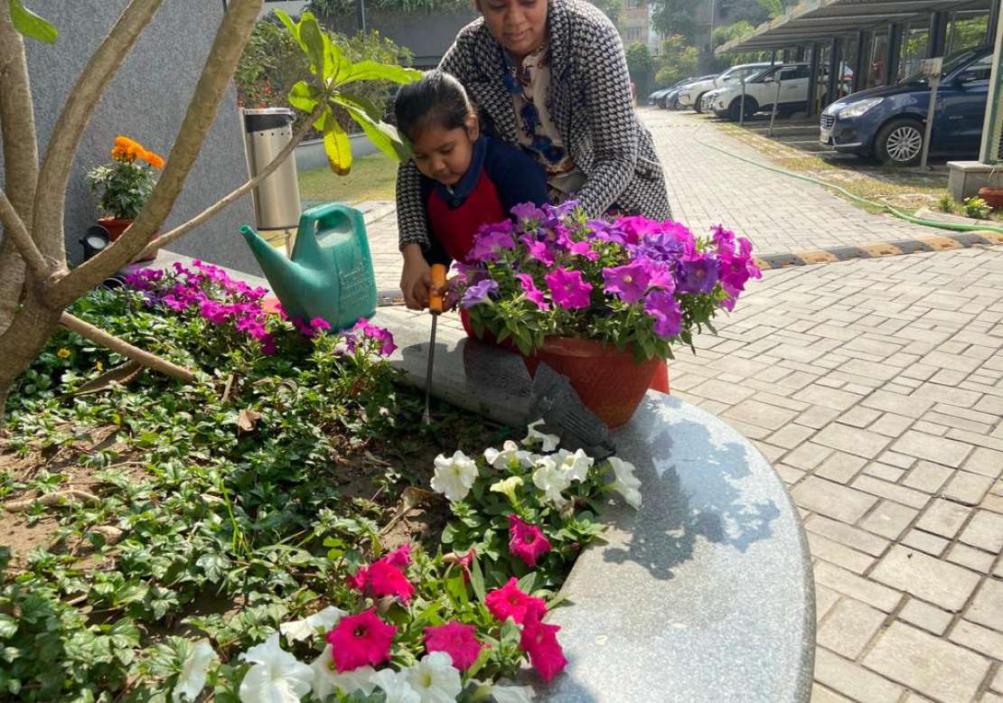 Germination, Gardening and Flower Arrangement_9