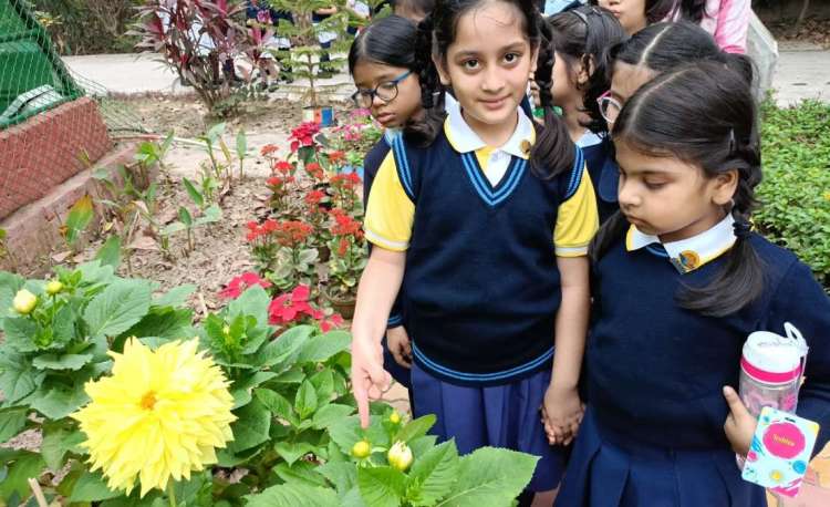 Inspiring Girls in STEM: Cultivating a Thriving and Inclusive Future