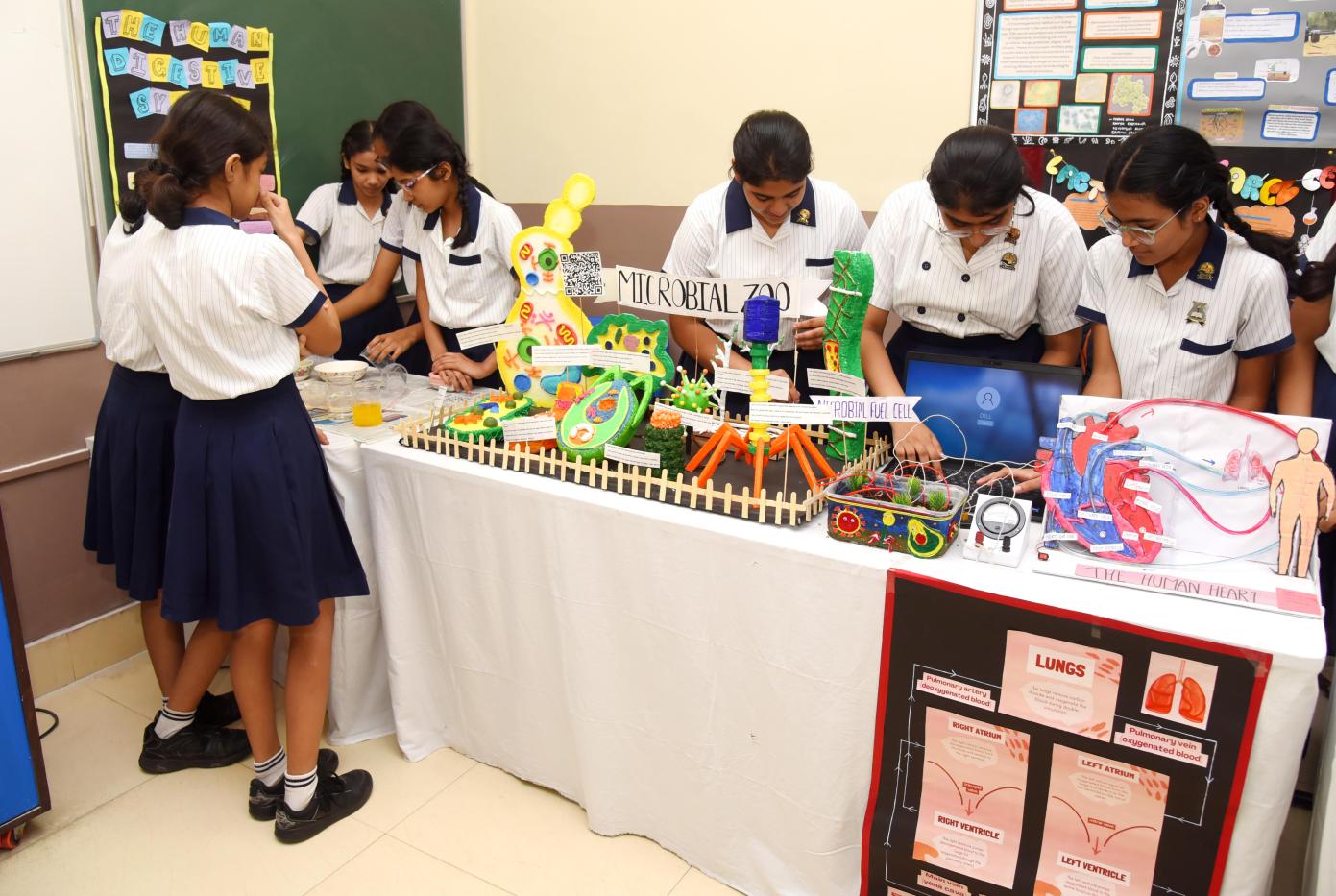 SCIENCE FIESTA 2025_7