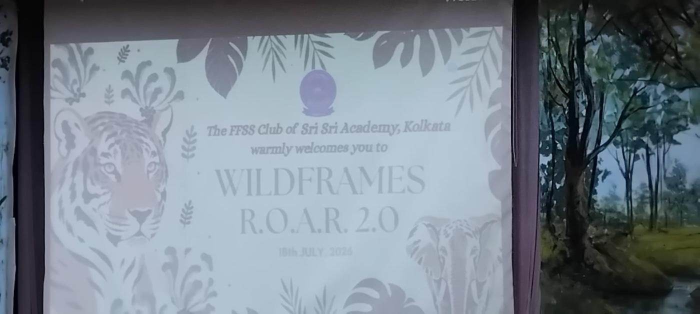 Wildframes  ROAR_4