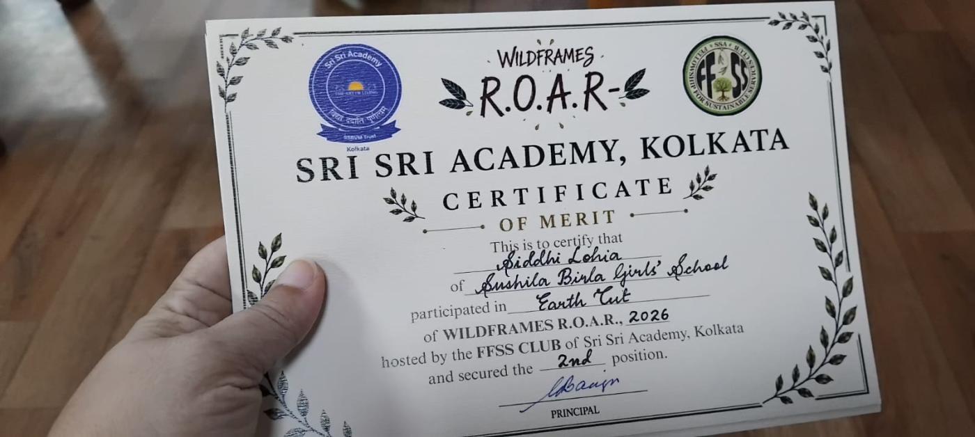 Wildframes  ROAR_3