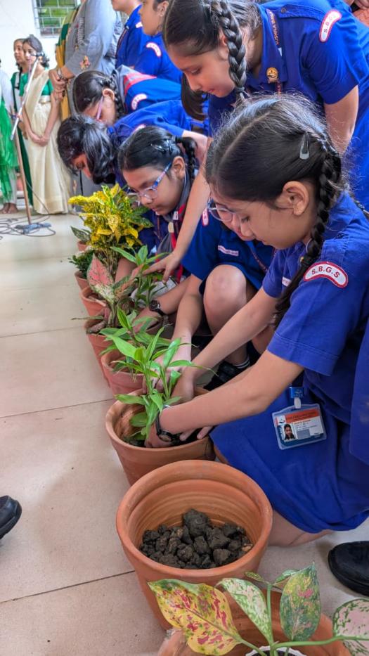 Van Mahotsav_4