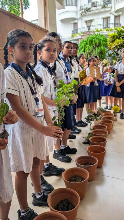 Van Mahotsav_7