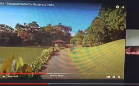 Virtual Trip Singapore Botanical Garden